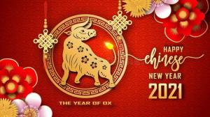 春節(jié)將至，BYC博盈軸承攜全體員工在此向大家拜個早年